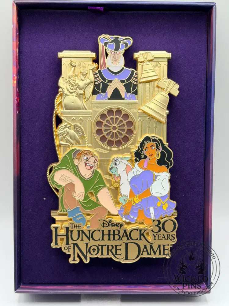 Disneyland Paris DLP Hunchback Of Notre Dame Pin 30th Anniversary LE 800 Jumbo